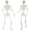 2 Pack 5.4ft Life Size Skeleton with Movable Joints F881