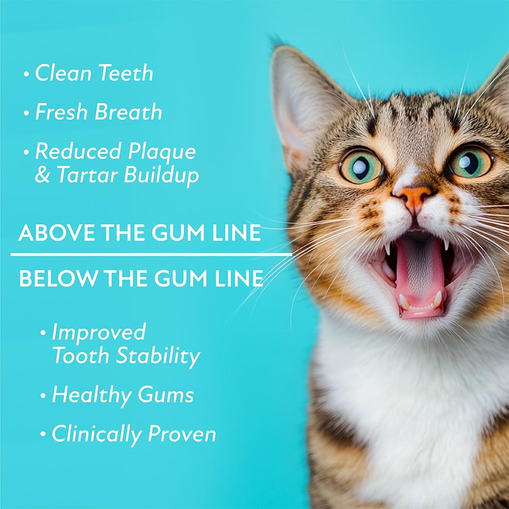 Probiotic Food Topper for Cat Oral Care J5151