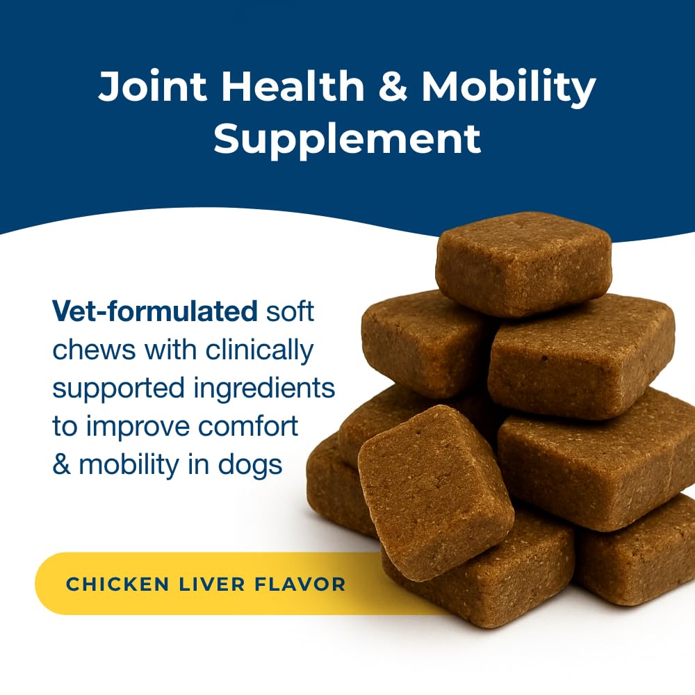 Joint Health & Mobility Soft Chews for Dogs 45 Count H7360