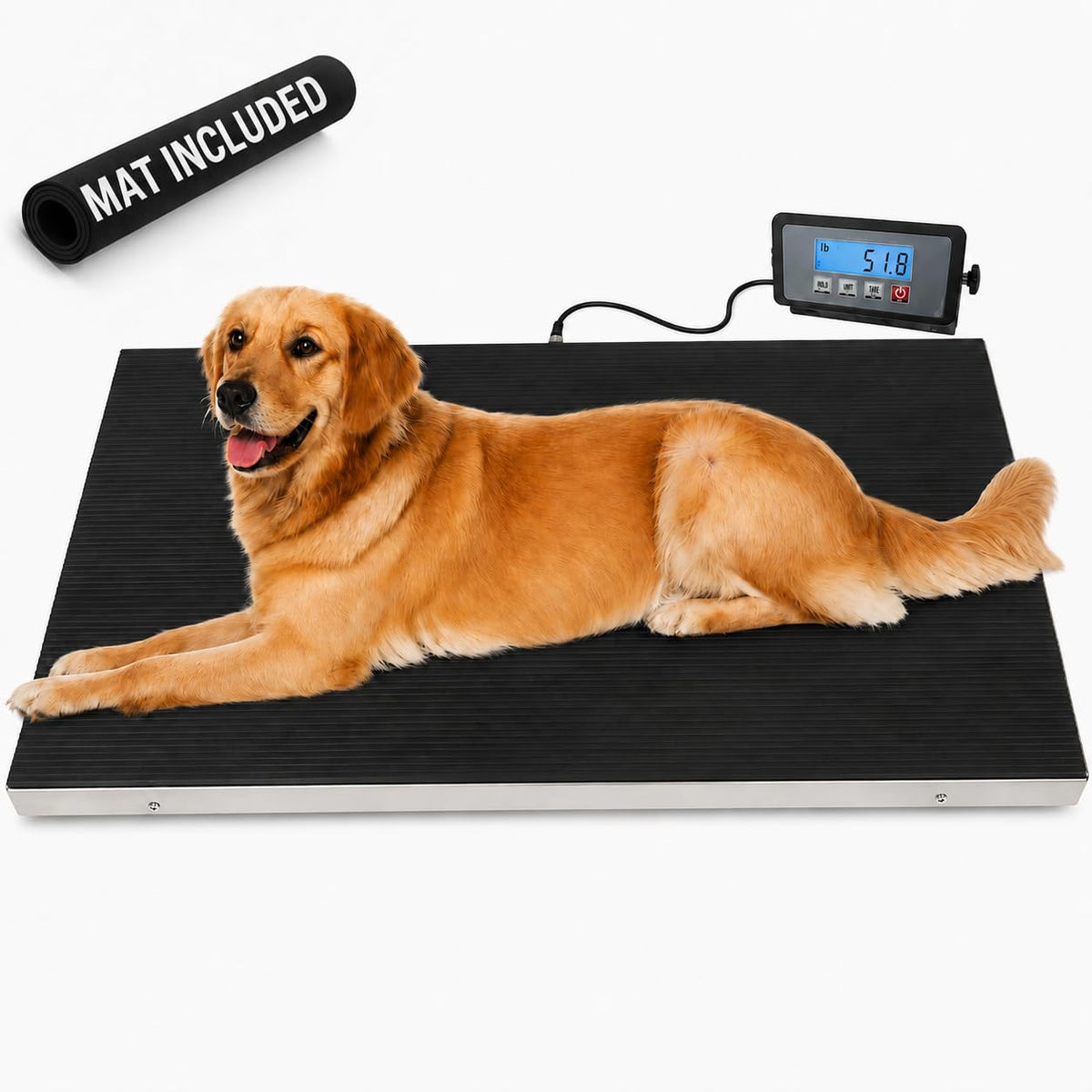 Heavy Duty 660 Pounds Veterinary Dog Scale with Stainless Steel Platform N811