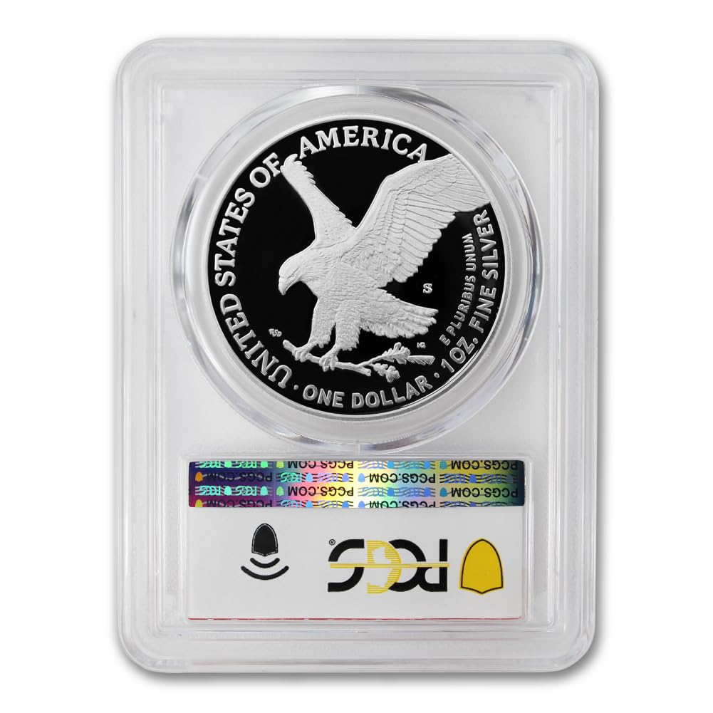 1 oz American Silver Eagle Coin V793