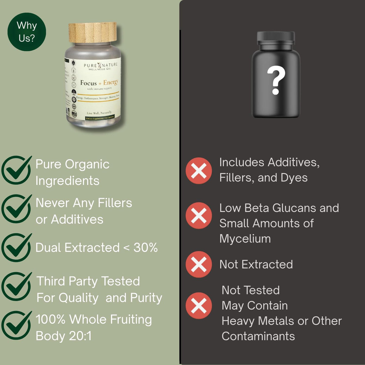 Organic Mushroom Complex Nootropic X977