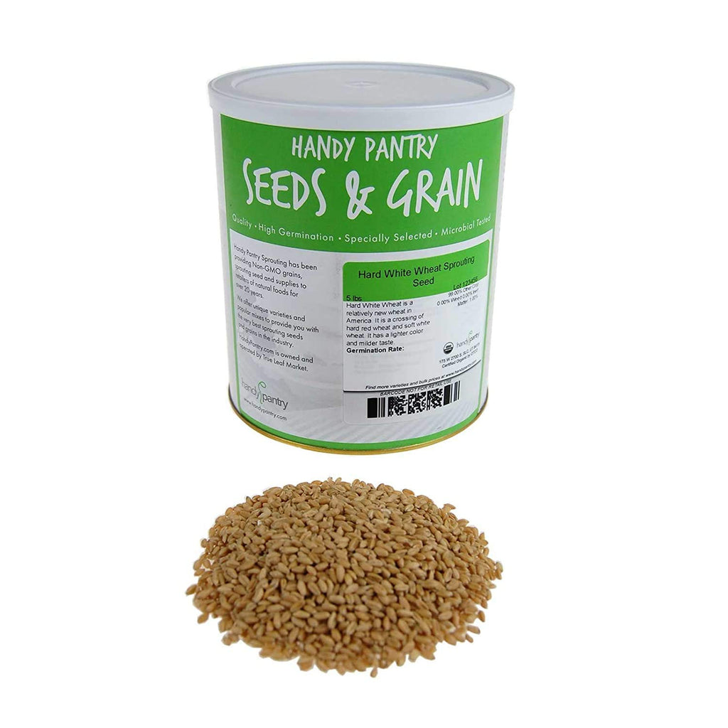 Organic Whole Wheat Kernels 5 Lb L9137