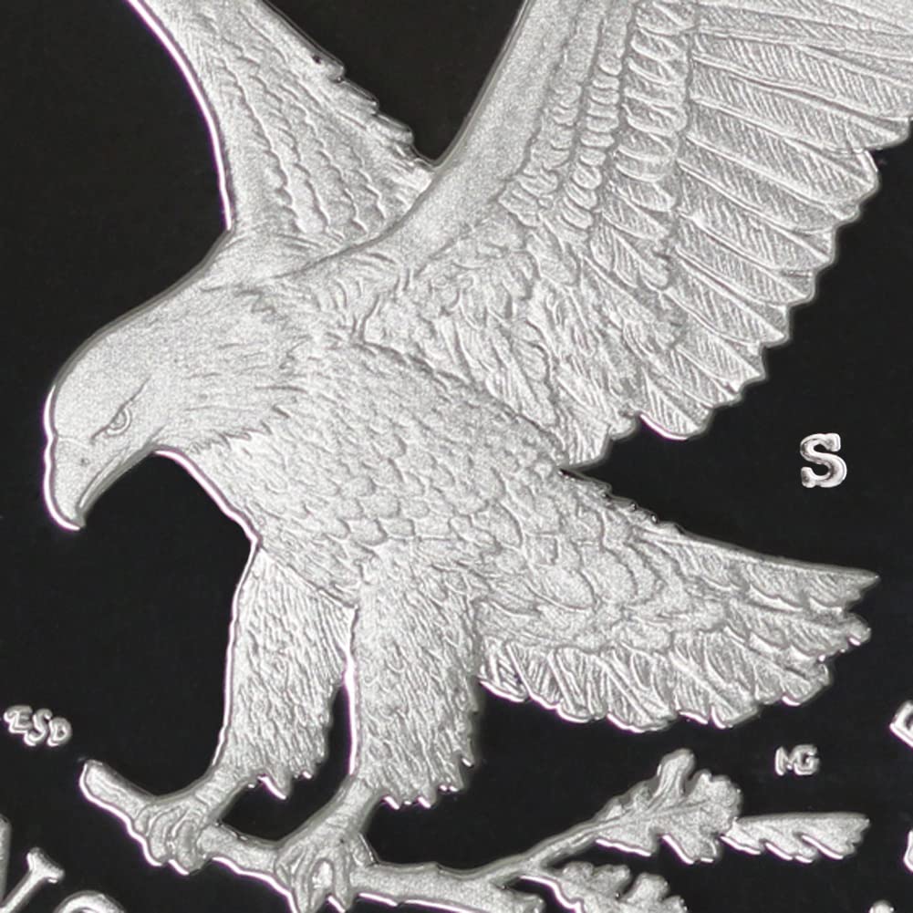 1 oz American Silver Eagle Coin V793