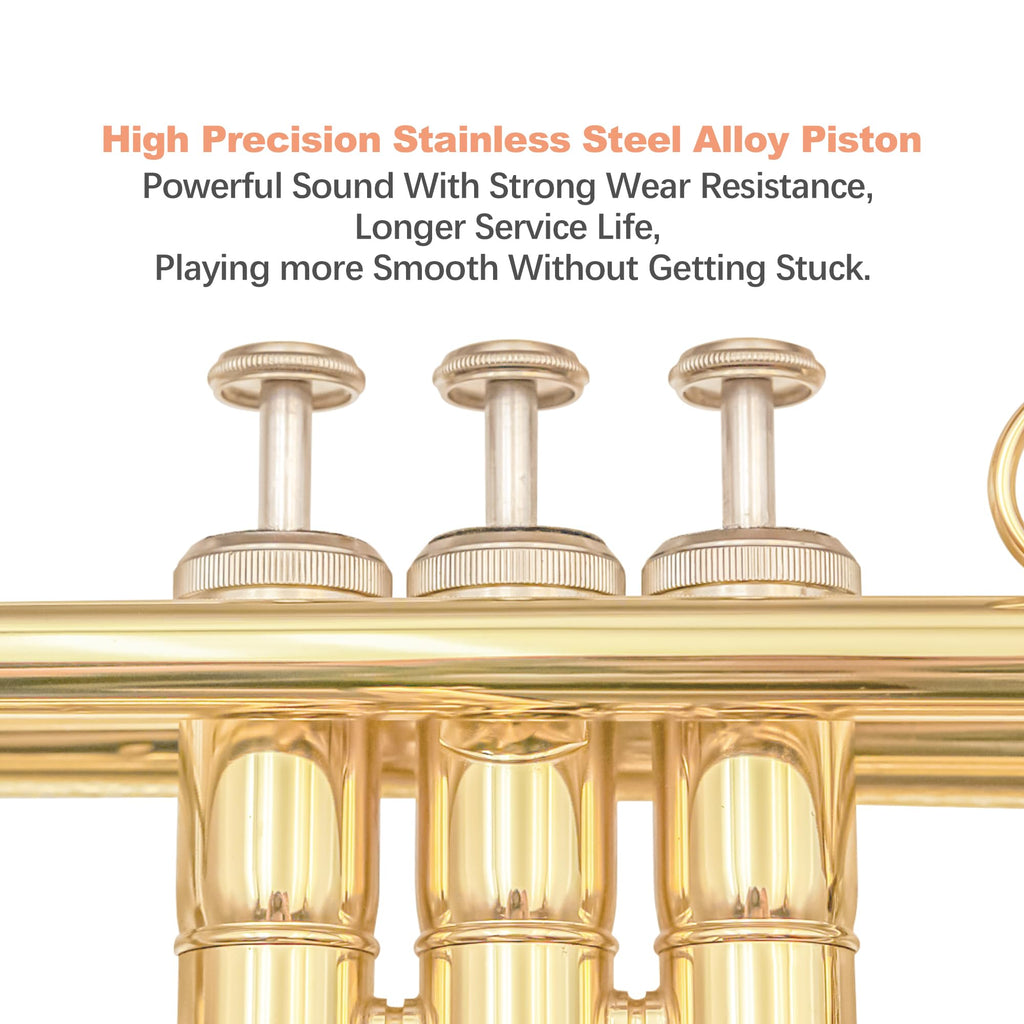 Standard Brass Trumpet Set L1920