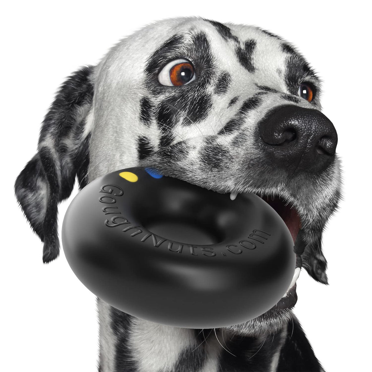 Black Dog Toys for Aggressive Chewers N26213