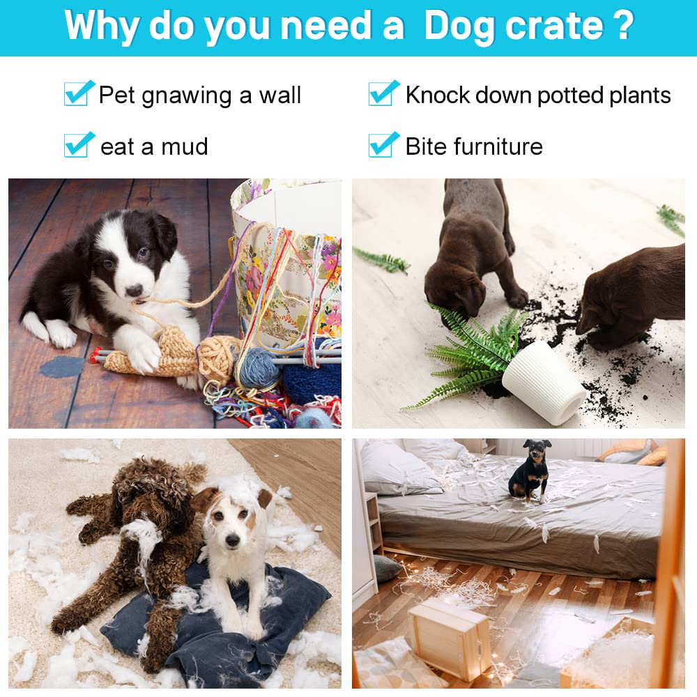 48" Heavy Duty Folding Wire Metal Dog Crate with Divider P704762