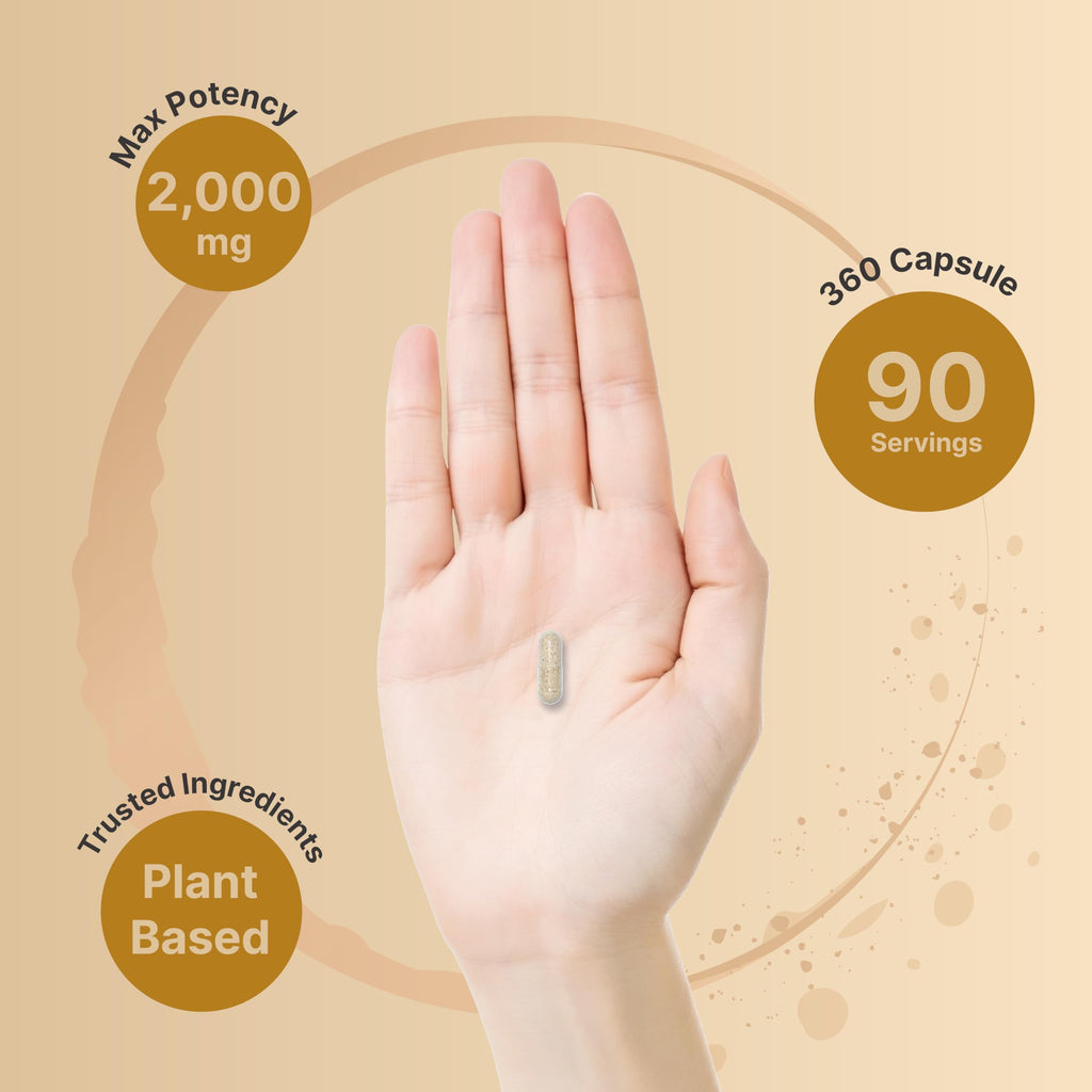 Psyllium Husk Fiber Capsules 2,000mg 360 Caps B776