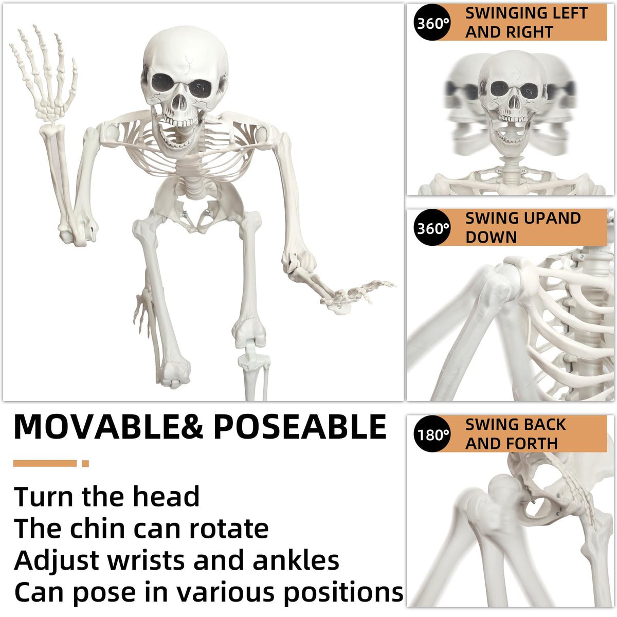 2 Pack 5.4ft Life Size Skeleton with Movable Joints F881