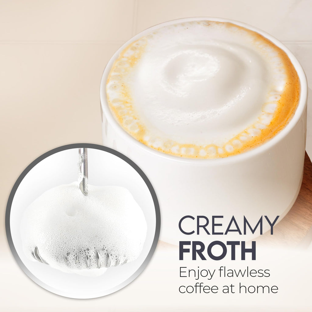 Handheld Milk Frother with AA Batteries V2744