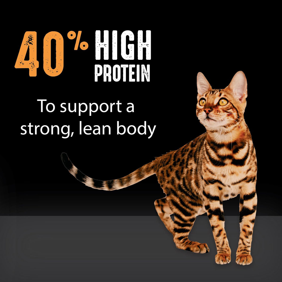 Grain Free High Protein Natural Dry Cat Food, Chicken, 2 lb C487110