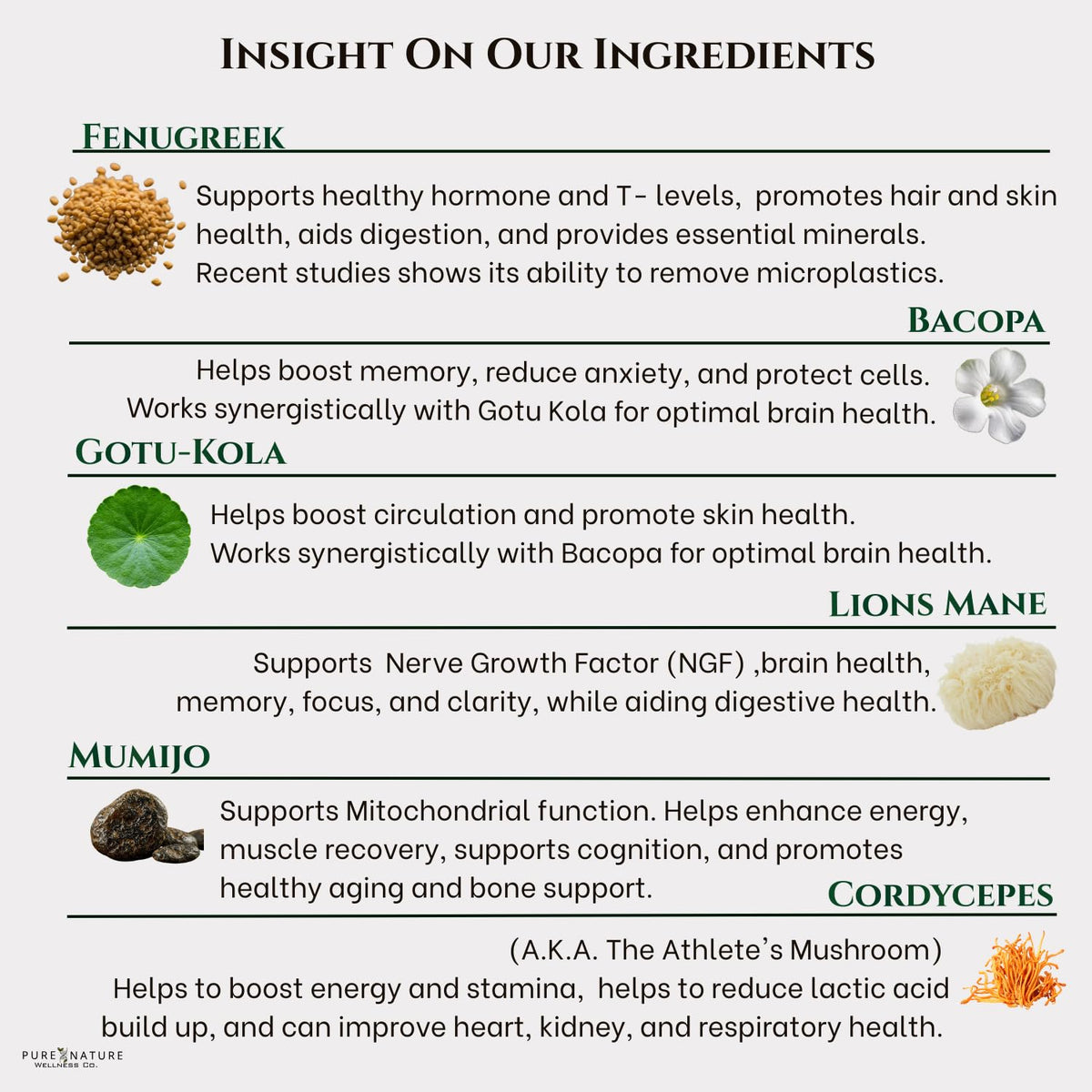 Organic Mushroom Complex Nootropic X977