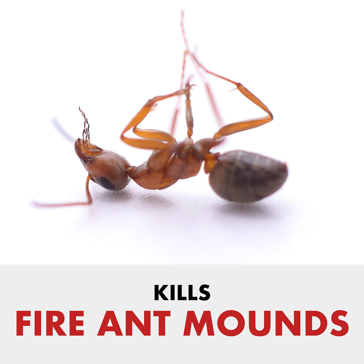Fire Ant Granules 10 Pounds K665