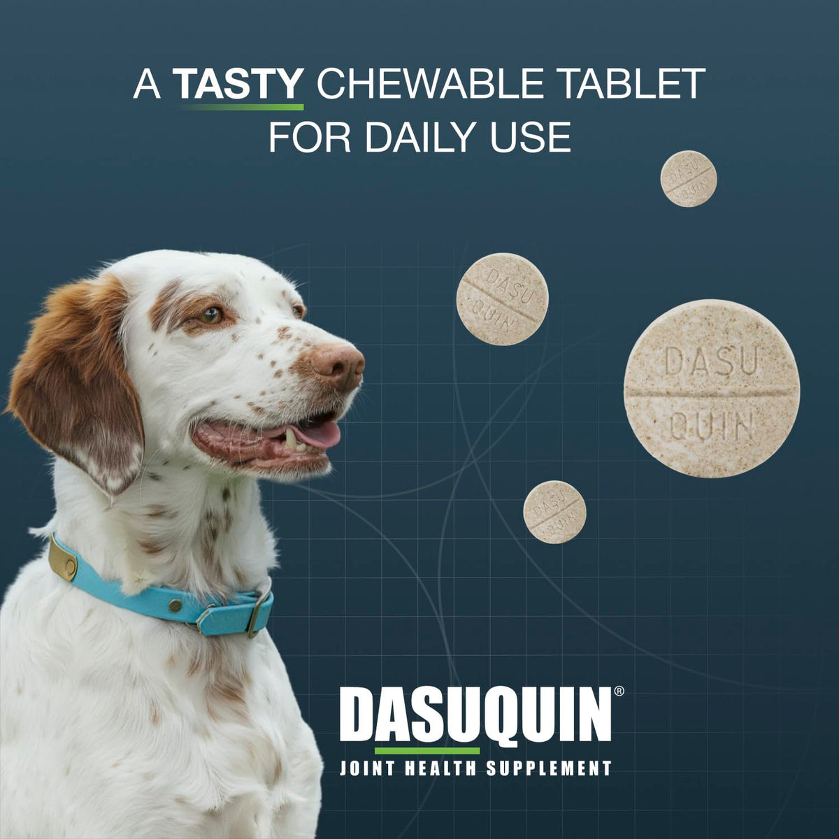 Chewable Tablets Joint Health Supplement for Small to Medium Dogs, 150 Count D83163