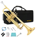Standard Brass Trumpet Set L1920