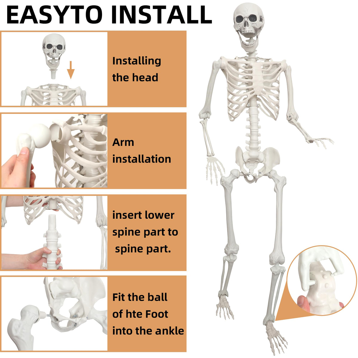 2 Pack 5.4ft Life Size Skeleton with Movable Joints F881