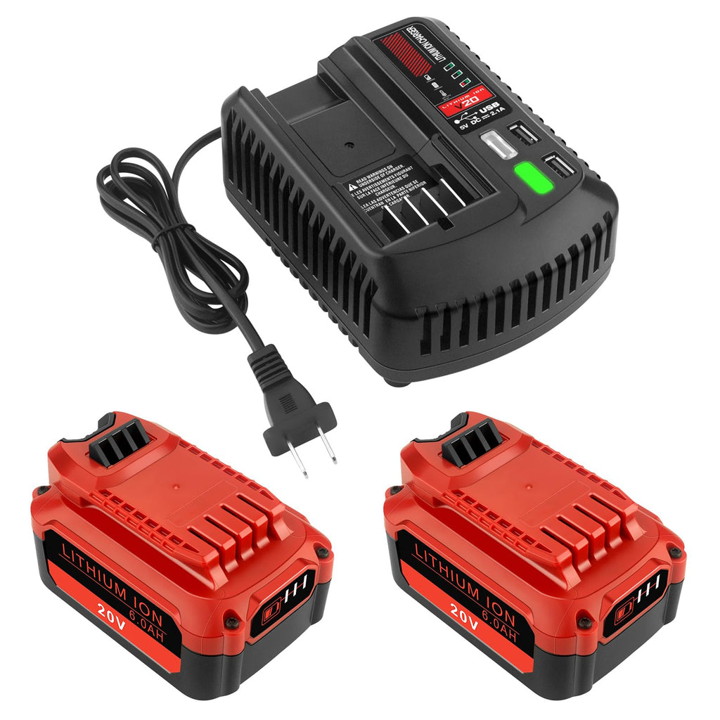 20V 6.0Ah Lithium ion Batteries and Charger Kit M305