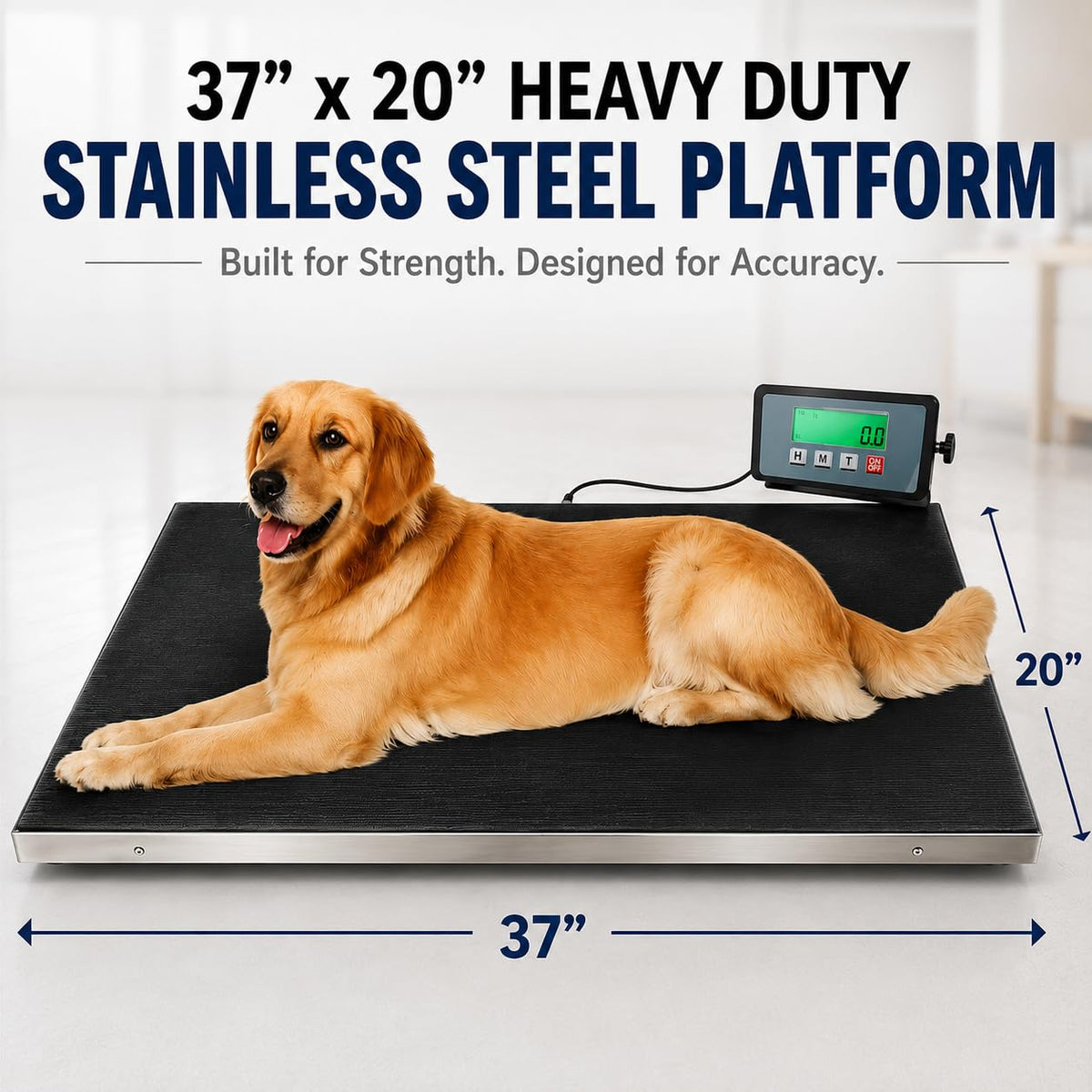 Heavy Duty 660 Pounds Veterinary Dog Scale with Stainless Steel Platform N811