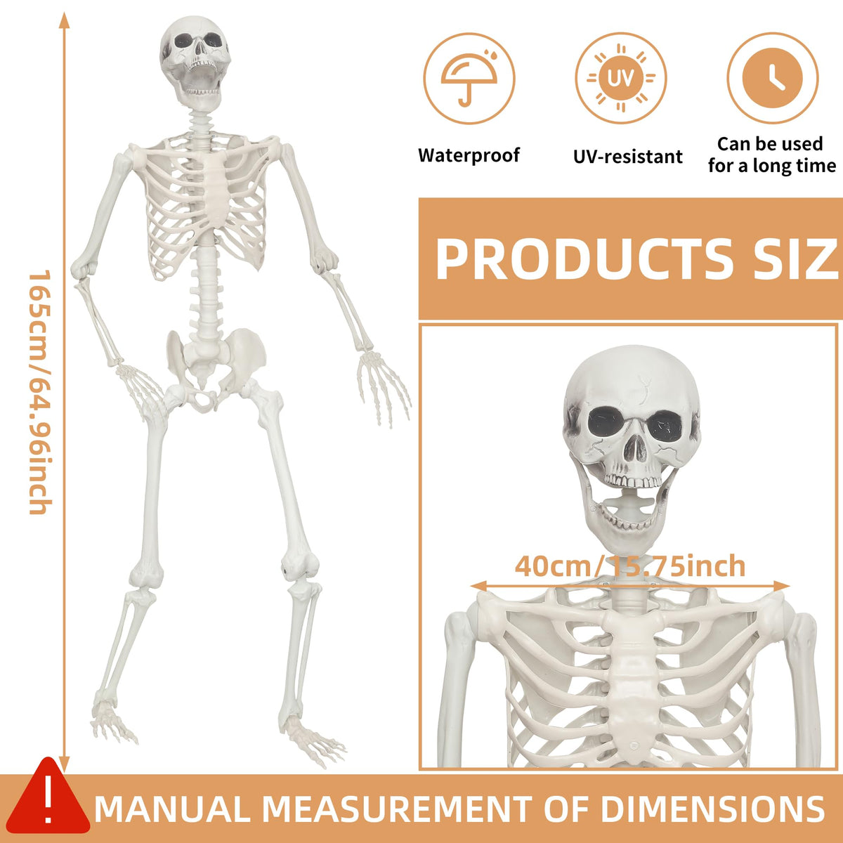 2 Pack 5.4ft Life Size Skeleton with Movable Joints F881