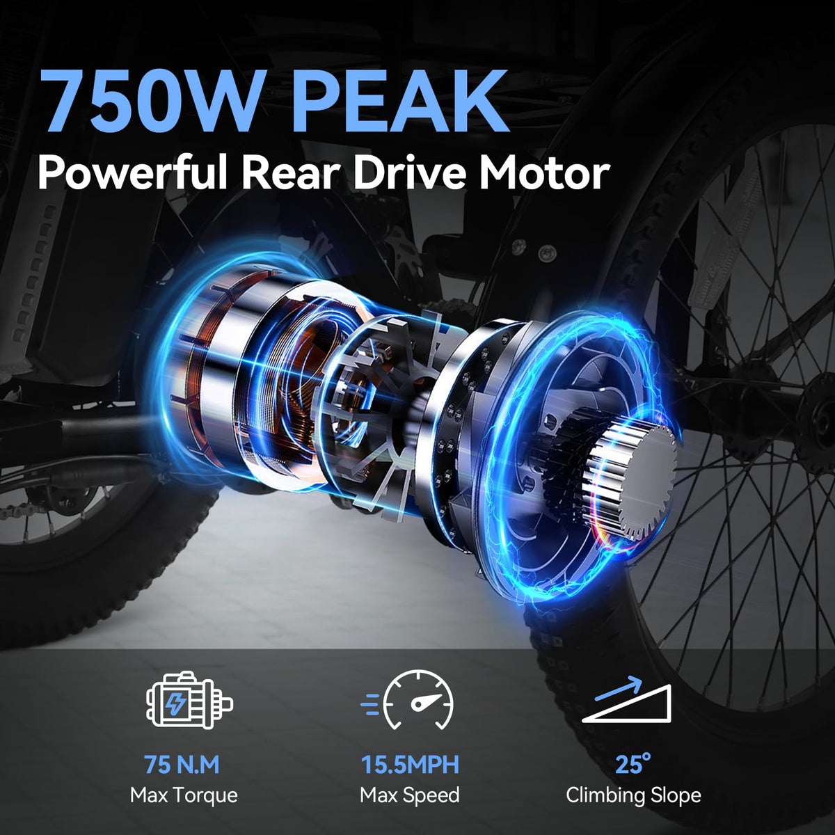 20'' Folding Electric Trike 750W 3-Wheel Bike with Removable Battery Y211
