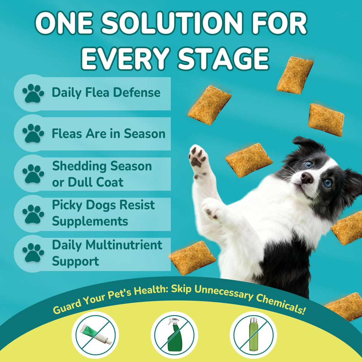 Flea and Tick Prevention for Dogs J91634