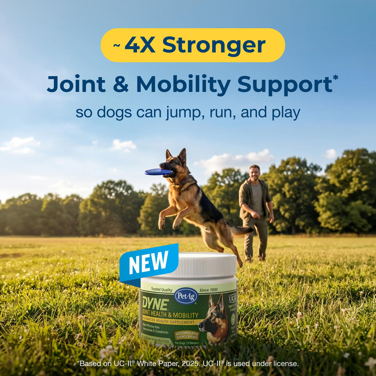 Joint Health & Mobility Soft Chews for Dogs 45 Count H7360