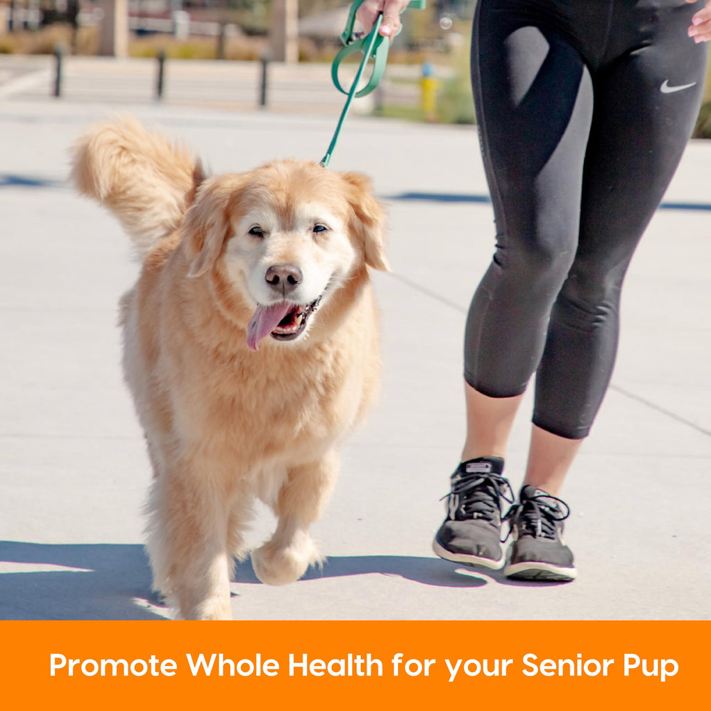 Senior Dogs Soft Chews 90 ct F315