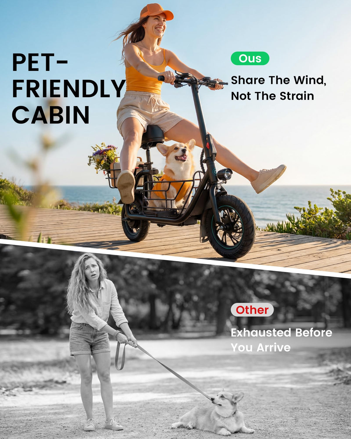 Electric Scooter with Seat Q567