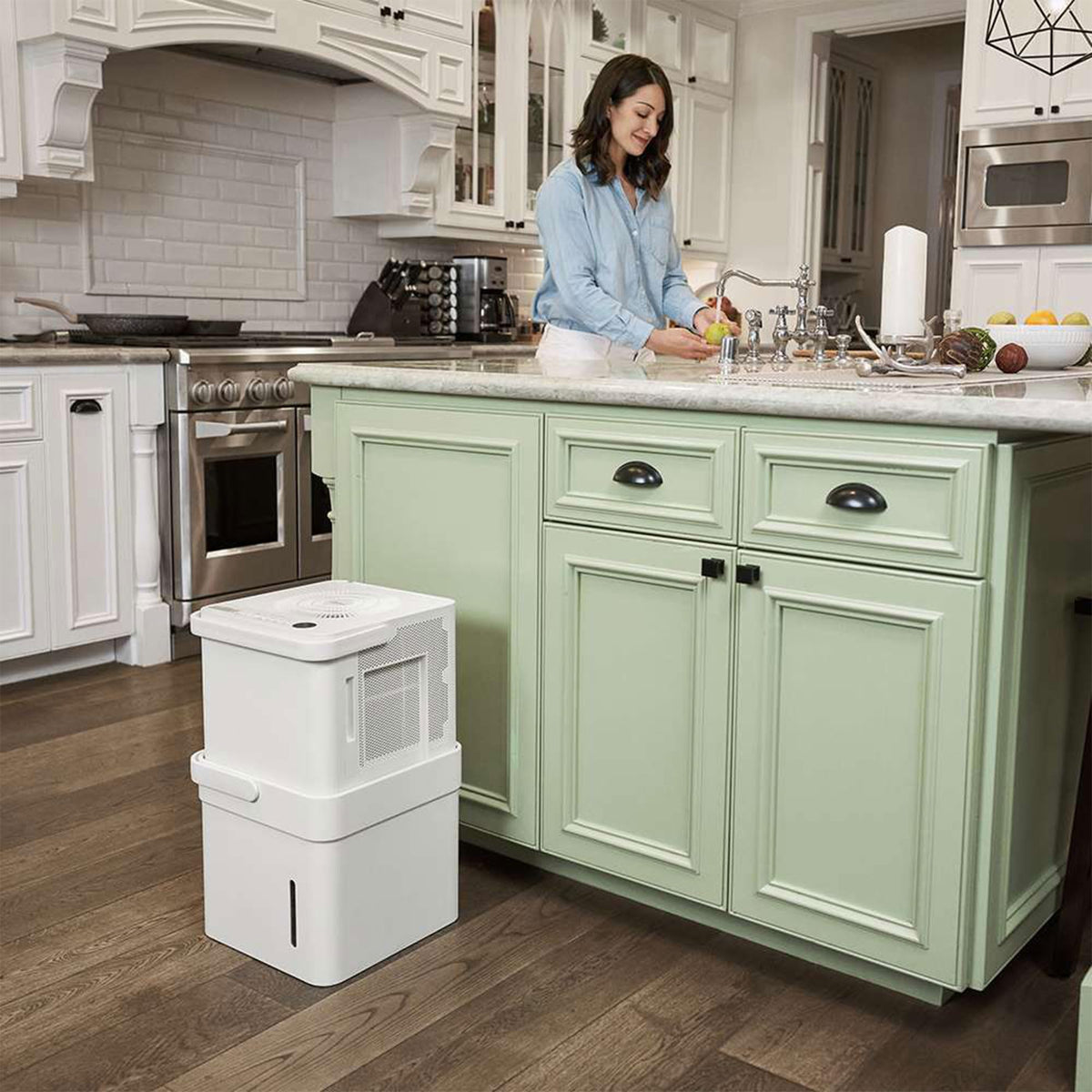 50 Pint Dehumidifier with Smart Control T1911