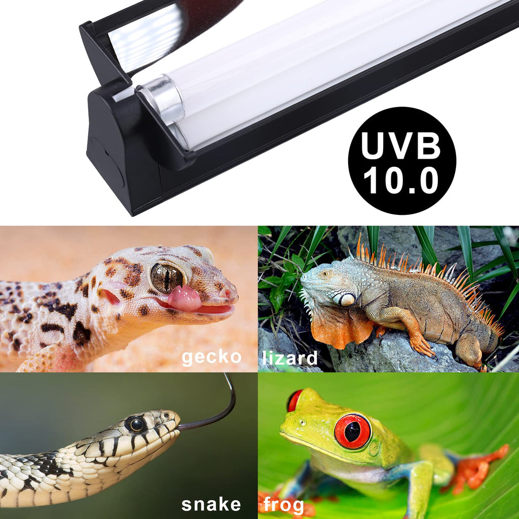 T5 UVB Lighting Combo Kit 22Inch 24W D463