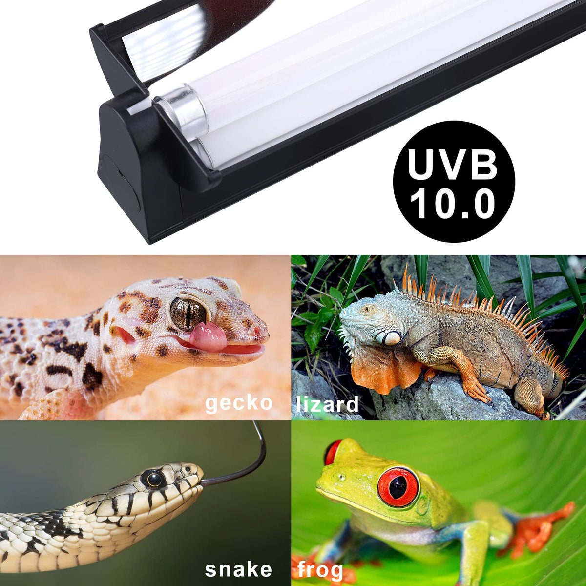 T5 UVB Lighting Combo Kit 22Inch 24W D463