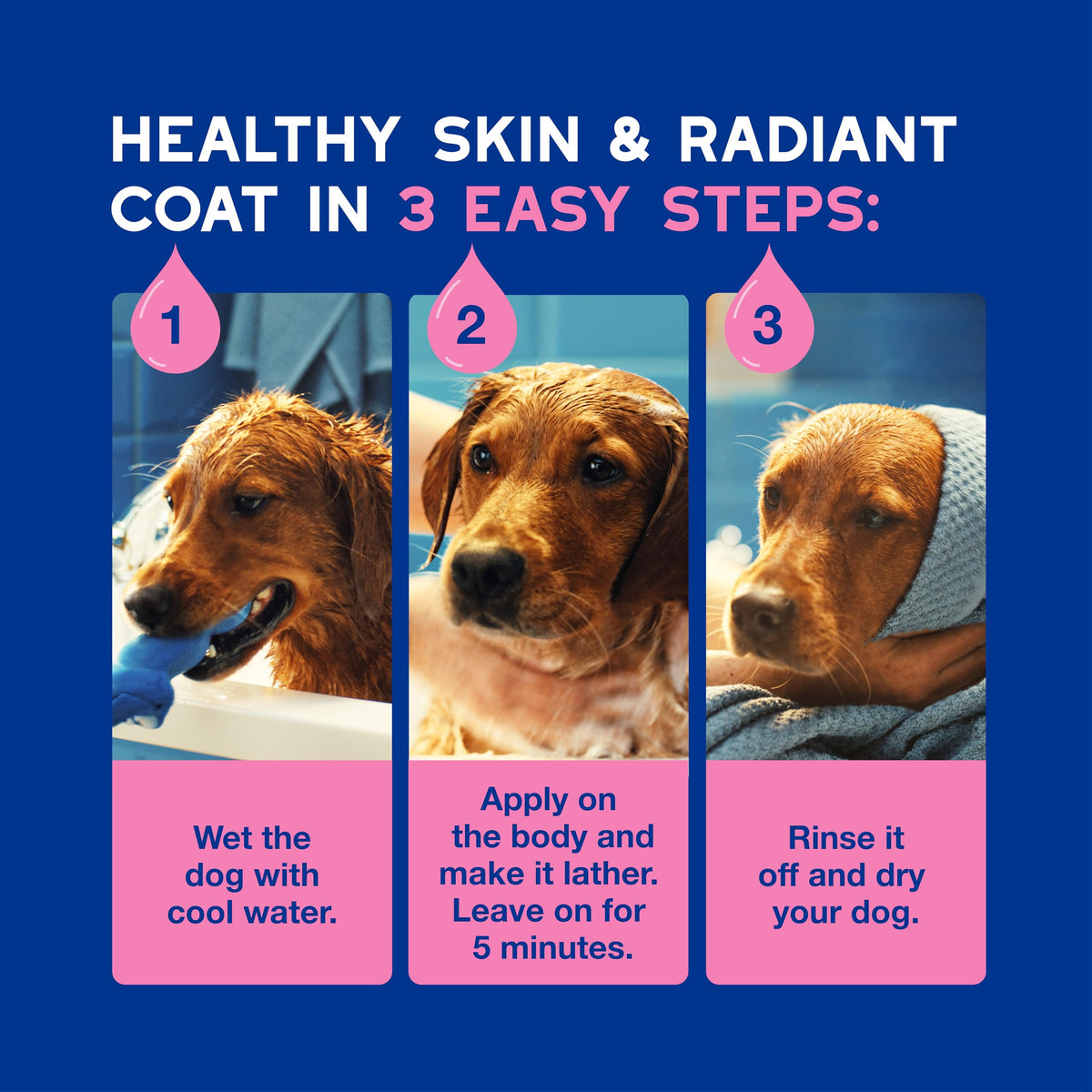 Dog Shampoo for Sensitive Skin, 16 fl oz G725383