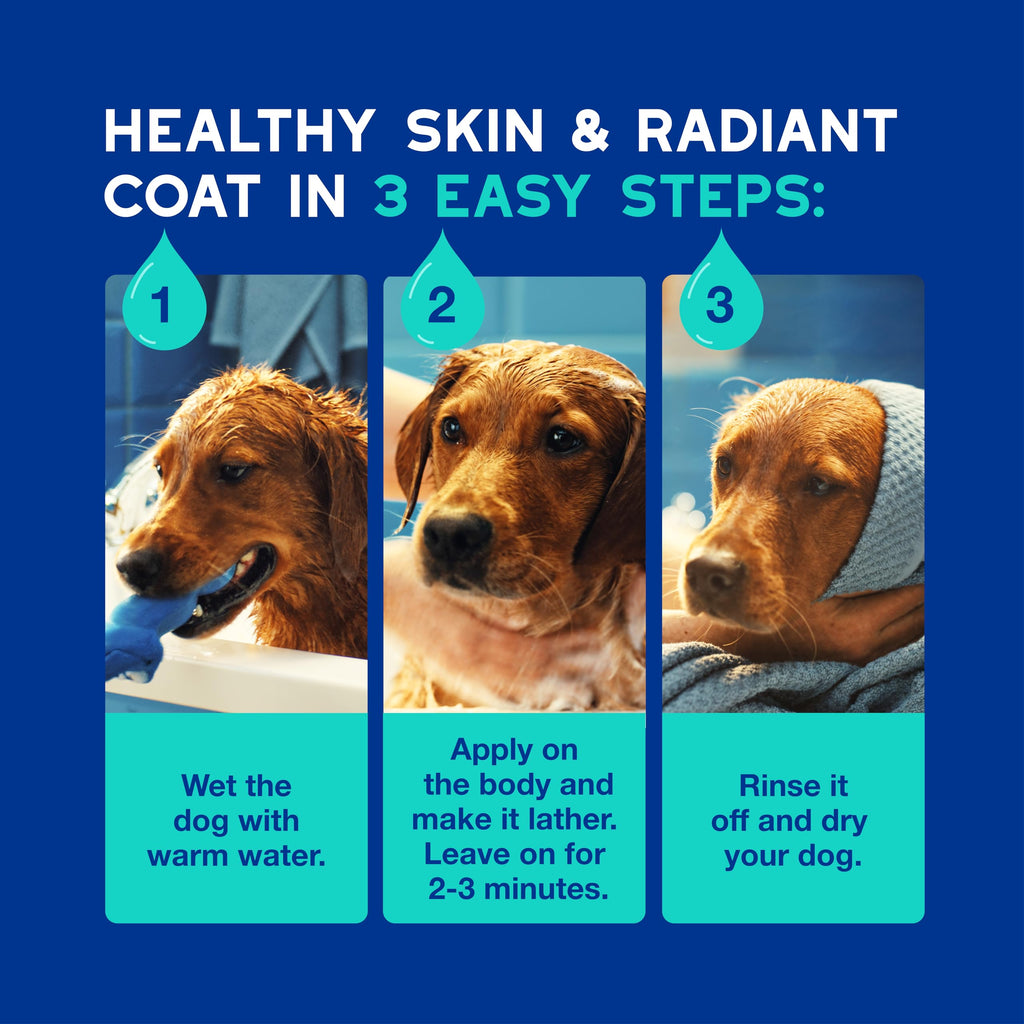 Dog Shampoo 16 fl oz I201097