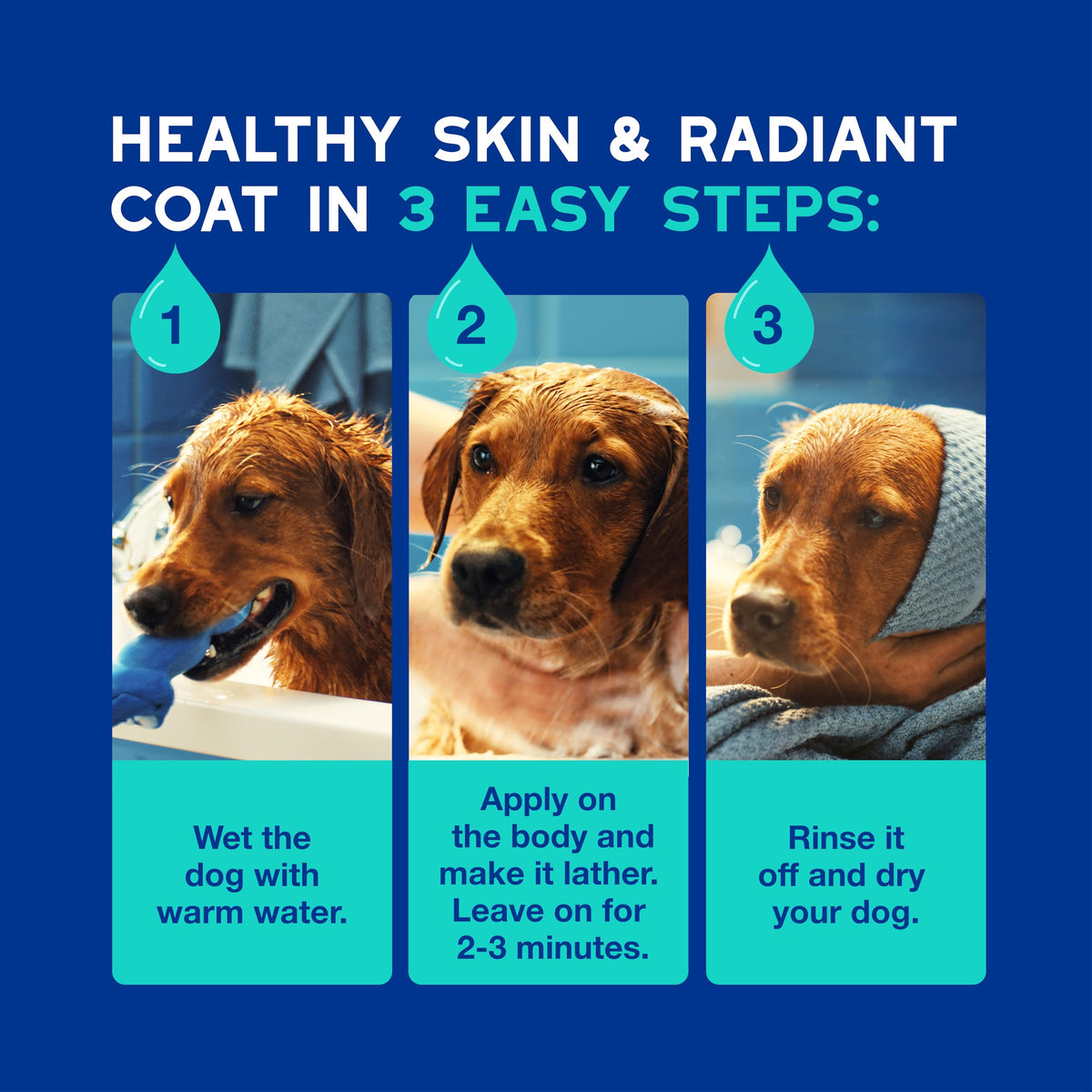 Dog Shampoo 16 fl oz I201097