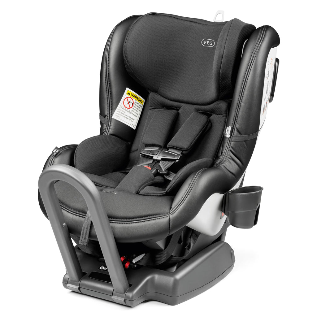 Reversible Convertible Car Seat P18203