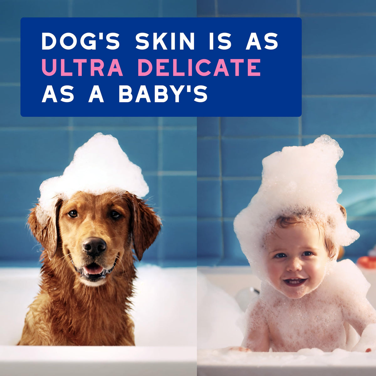 Dog Shampoo for Sensitive Skin, 16 fl oz G725383