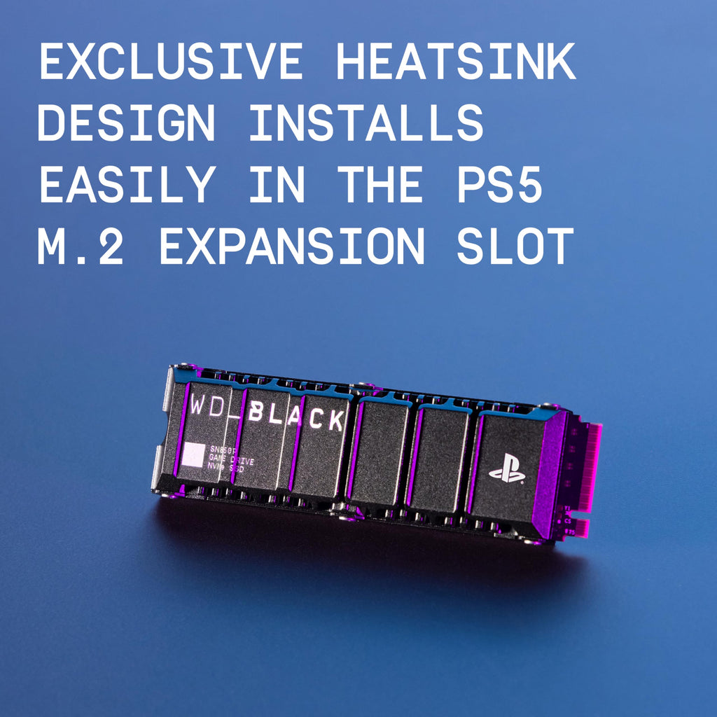 1TB NVMe M.2 SSD with Heatsink Z848