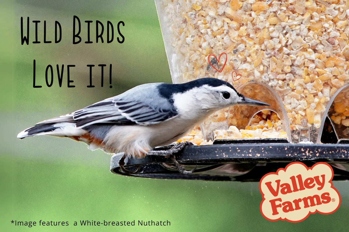 Cracked Corn Wild Bird Food 20 LB E59006