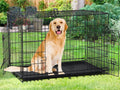 48" Heavy Duty Folding Wire Metal Dog Crate with Divider P704762
