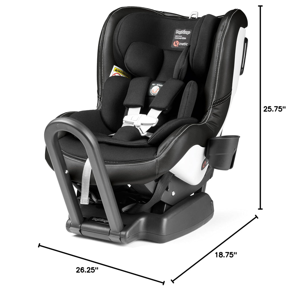 Reversible Convertible Car Seat P18203