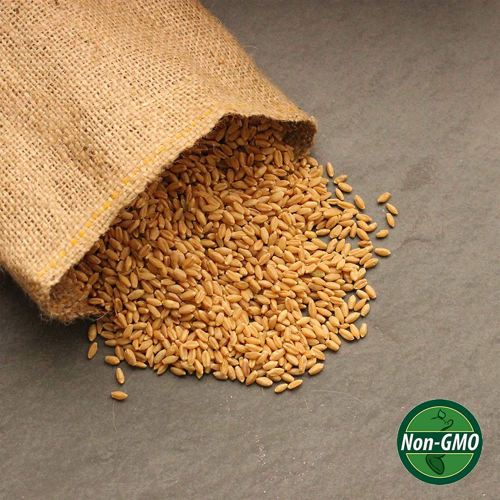 Organic Whole Wheat Kernels 5 Lb L9137