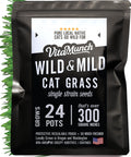 Cat Grass Seed 24 Pots 6 Days Non-GMO G32339