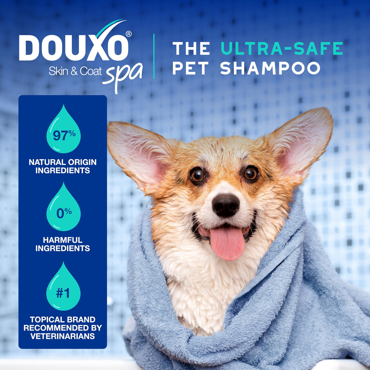 Dog Shampoo 16 fl oz I201097